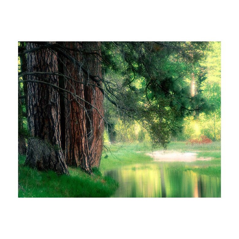 Tablou Canvas Natura, Dimensiunea 100x70 nat1222