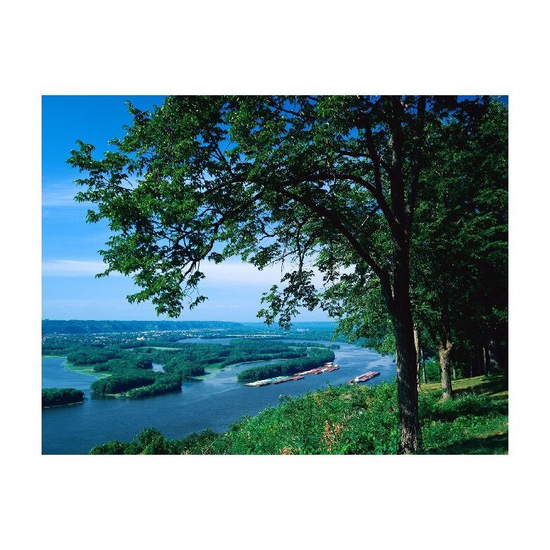 Tablou Canvas Natura, Dimensiunea 100x70 nat1216