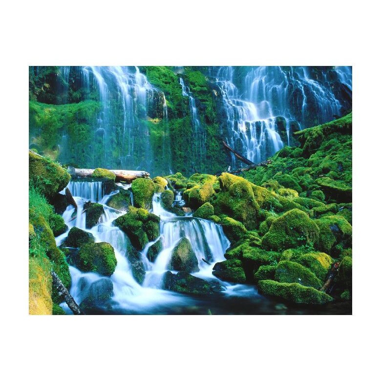 Tablou Canvas Natura, Dimensiunea 100x70 nat1410