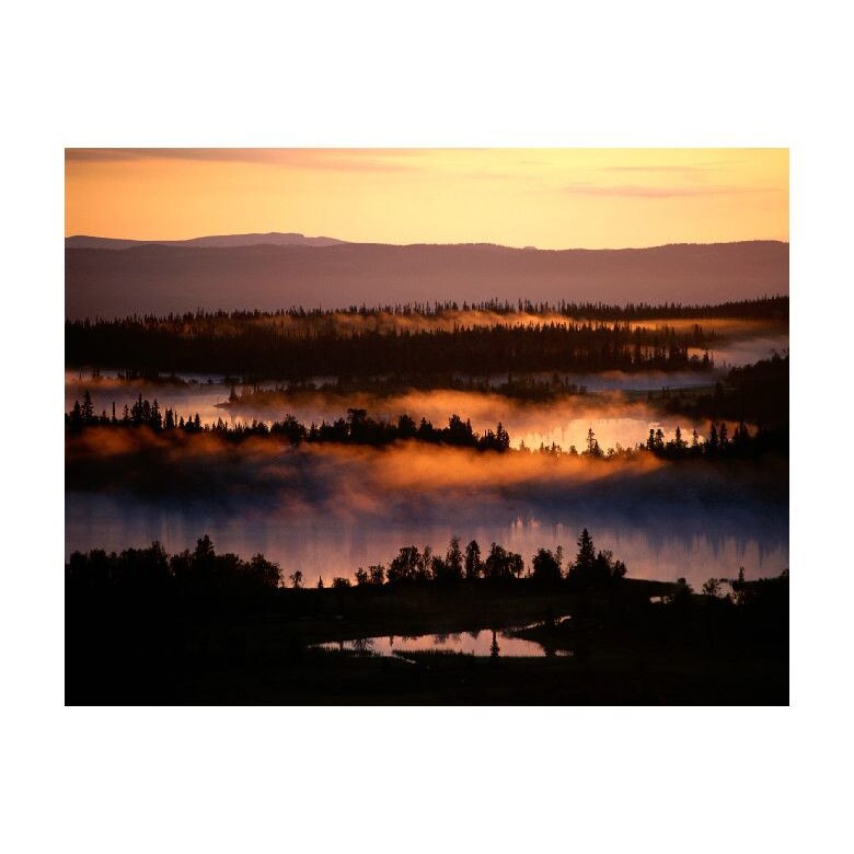 Tablou Canvas Natura, Dimensiunea 100x70 nat1224