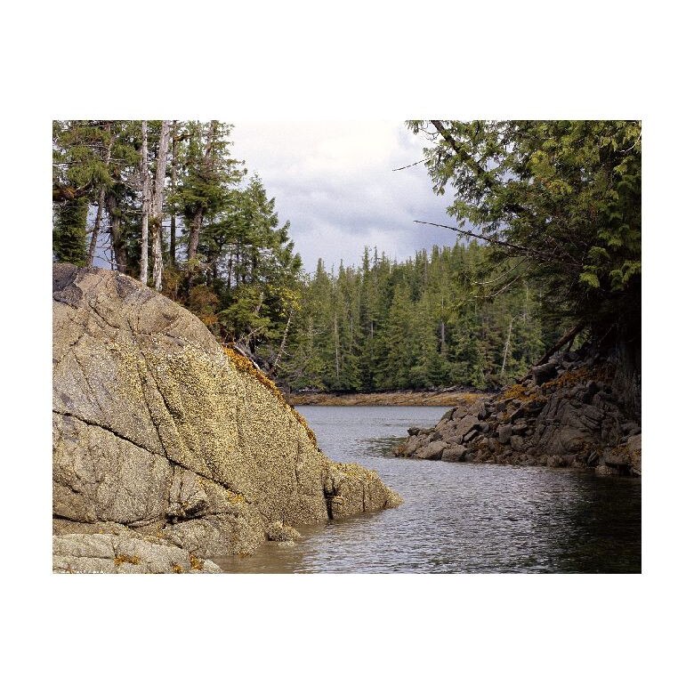 Tablou Canvas Natura, Dimensiunea 100x70 nat1451