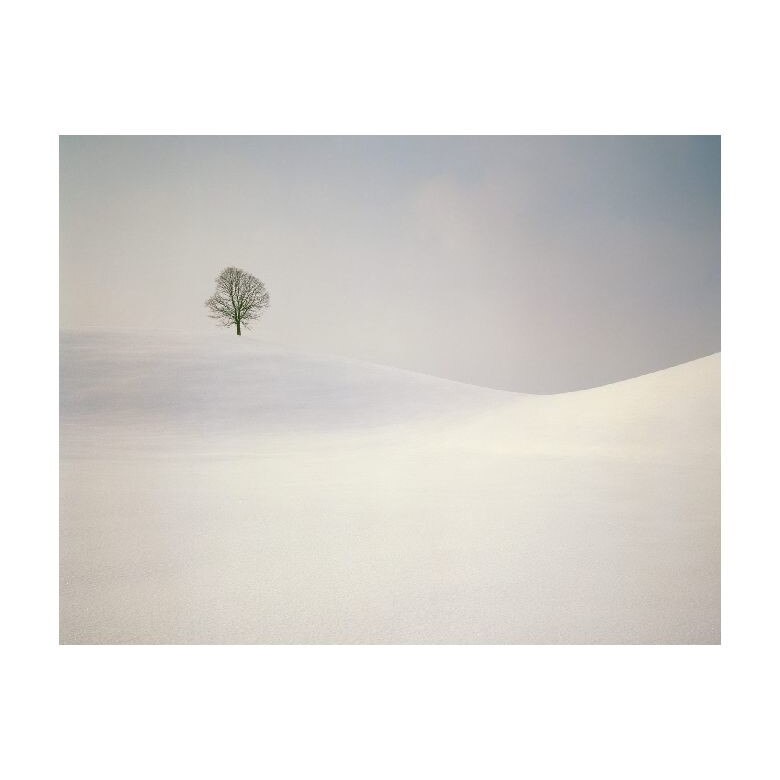 Tablou Canvas Natura, Dimensiunea 50x30 nat1381