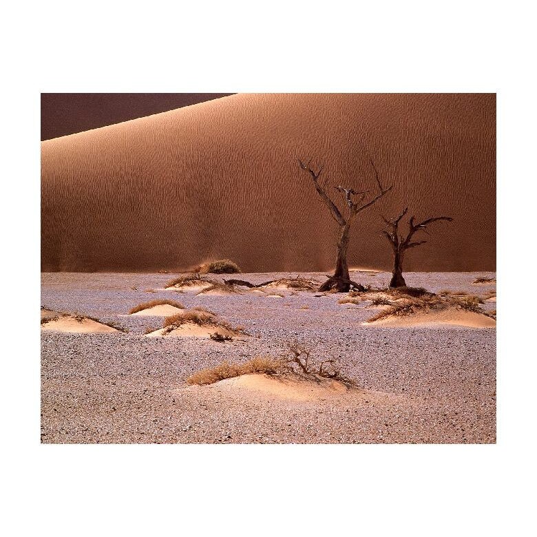 Tablou Canvas Natura, Dimensiunea 100x70 nat1489