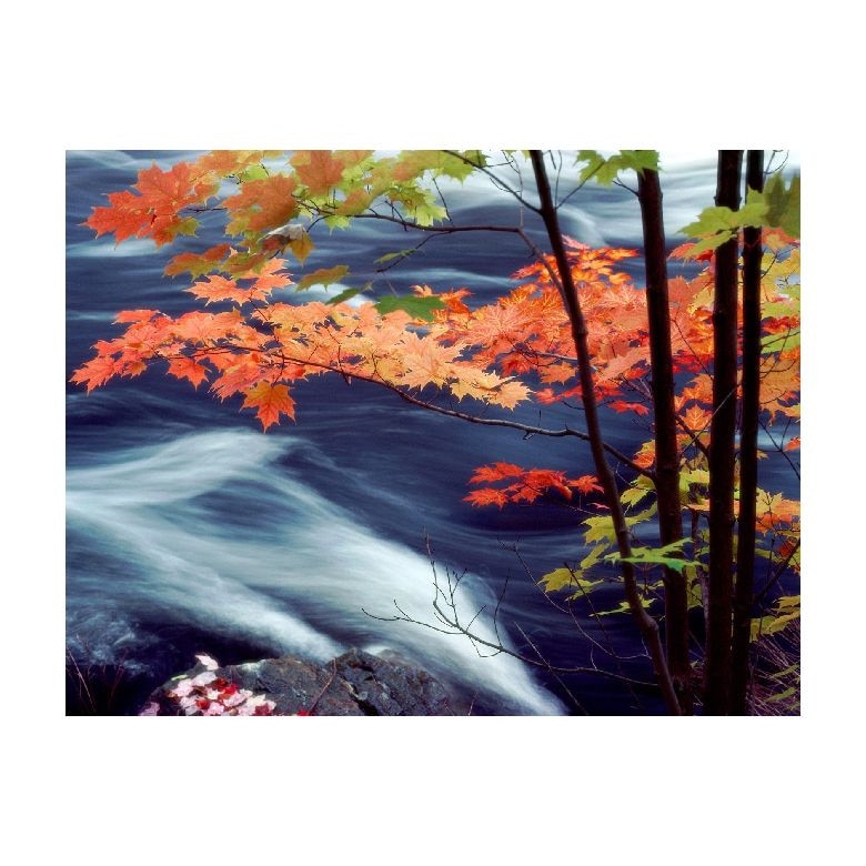 Tablou Canvas Natura, Dimensiunea 100x70 nat1352