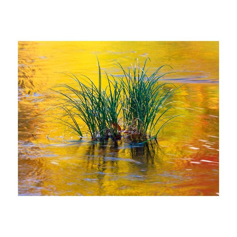 Tablou Canvas Natura, Dimensiunea 100x70 nat1442