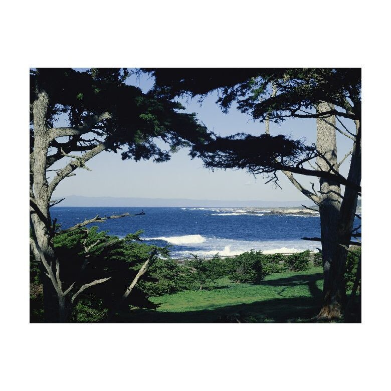 Tablou Canvas Natura, Dimensiunea 100x70 nat1386