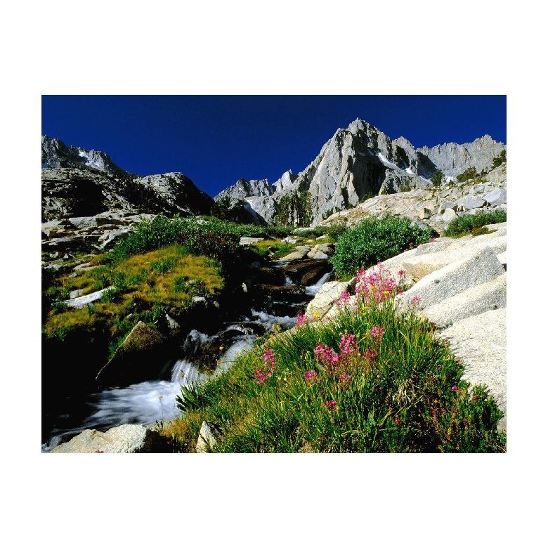Tablou Canvas Natura, Dimensiunea 100x70 nat1393