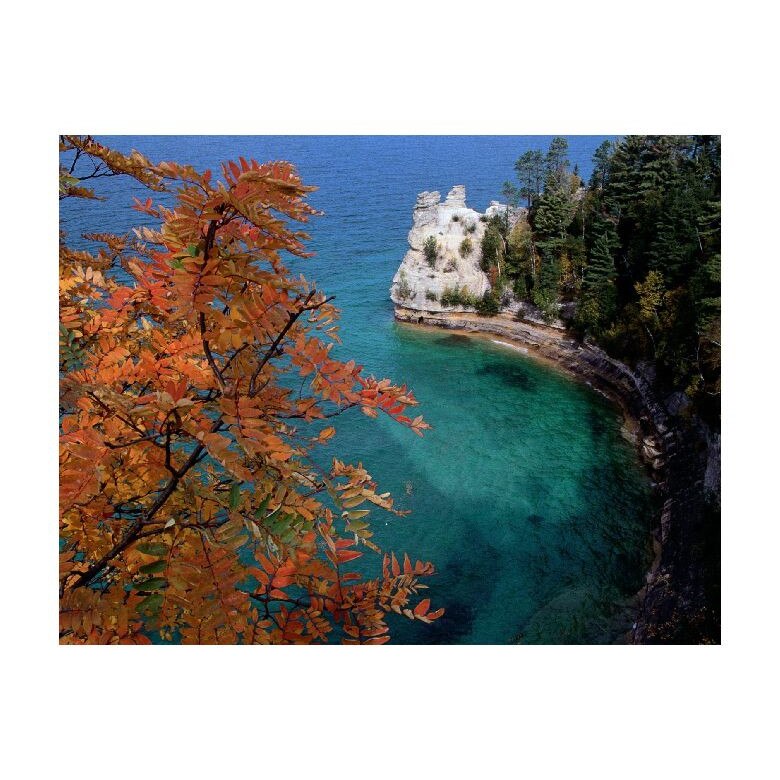 Tablou Canvas Natura, Dimensiunea 100x70 nat1395