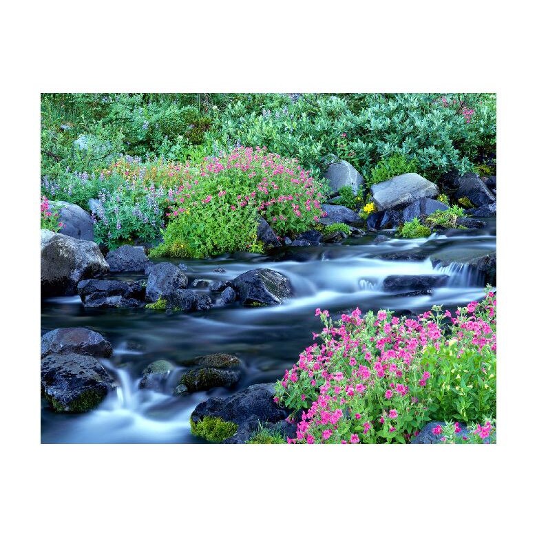 Tablou Canvas Natura, Dimensiunea 100x70 nat1372