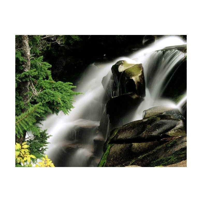 Tablou Canvas Natura, Dimensiunea 100x70 nat1371