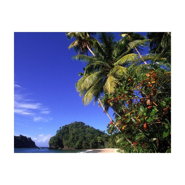 Tablou Canvas Natura, Dimensiunea 100x70 nat1374