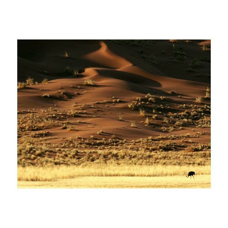 Tablou Canvas Natura, Dimensiunea 100x70 nat1446