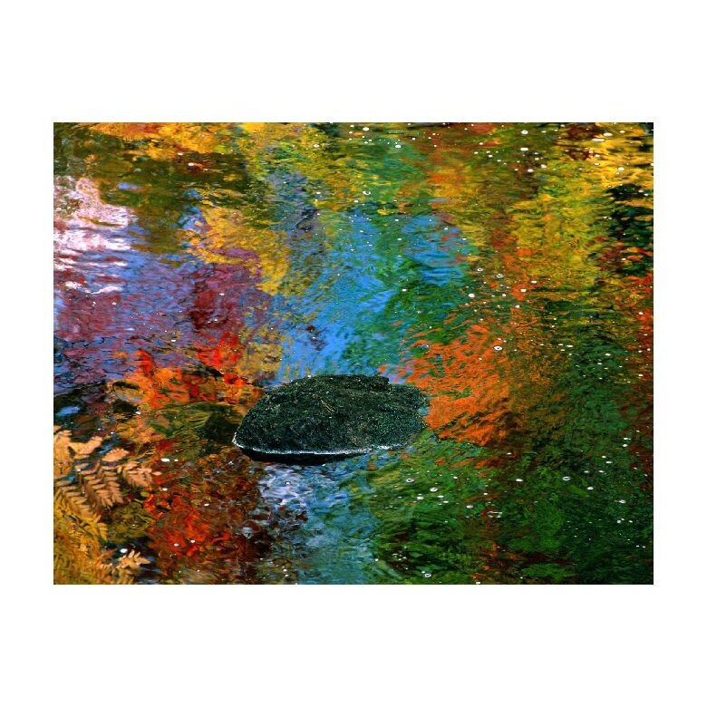 Tablou Canvas Natura, Dimensiunea 100x70 nat1441
