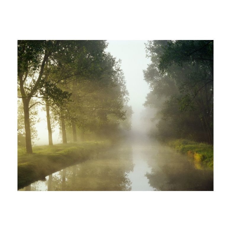 Tablou Canvas Natura, Dimensiunea 100x70 nat1430