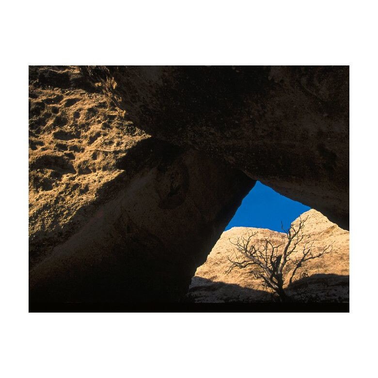 Tablou Canvas Natura, Dimensiunea 100x70 nat1460