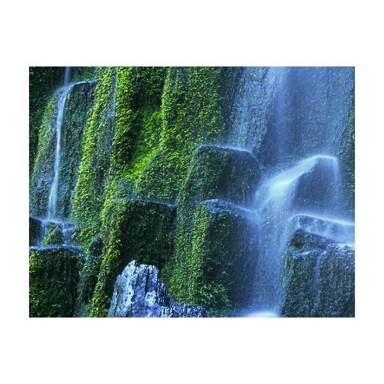 Tablou Canvas Natura, Dimensiunea 100x70 nat1411