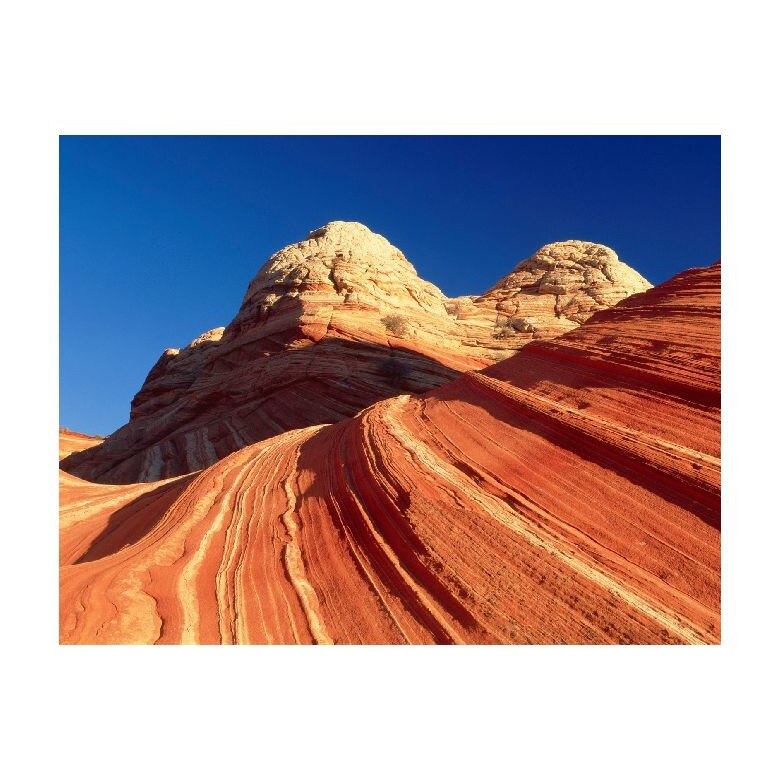 Tablou Canvas Natura, Dimensiunea 100x70 nat1492