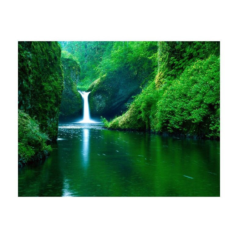 Tablou Canvas Natura, Dimensiunea 100x70 nat1414