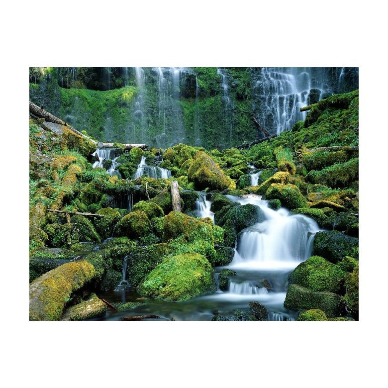 Tablou Canvas Natura, Dimensiunea 100x70 nat1409