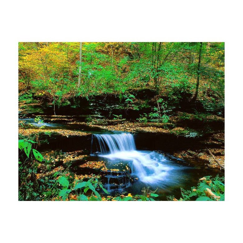 Tablou Canvas Natura, Dimensiunea 100x70 nat1445