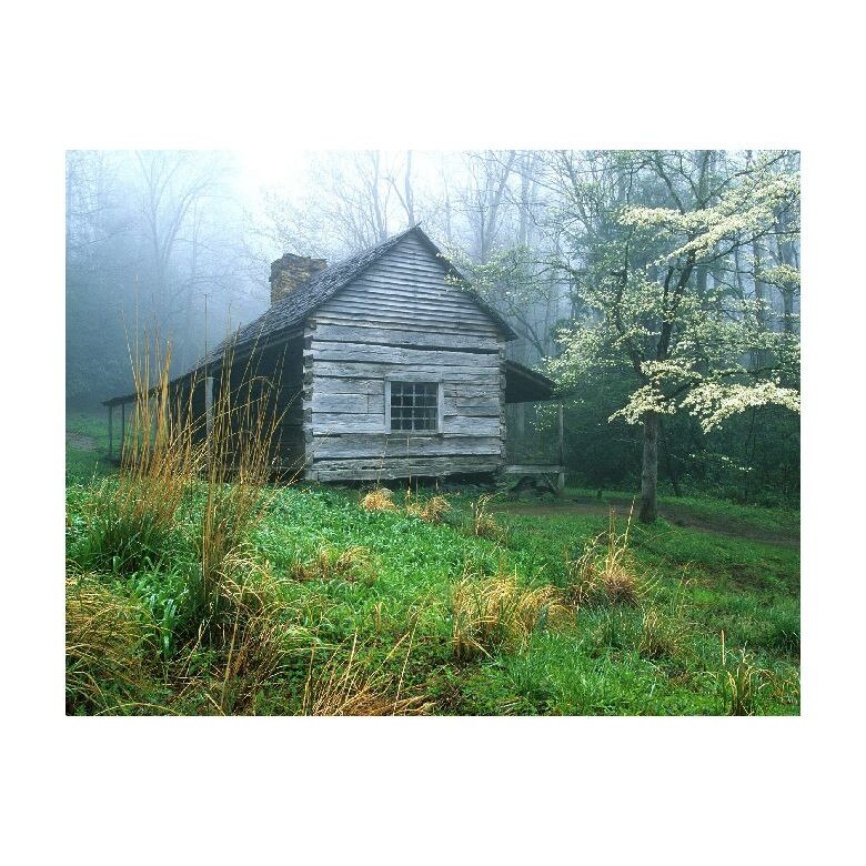 Tablou Canvas Natura, Dimensiunea 100x70 nat1379