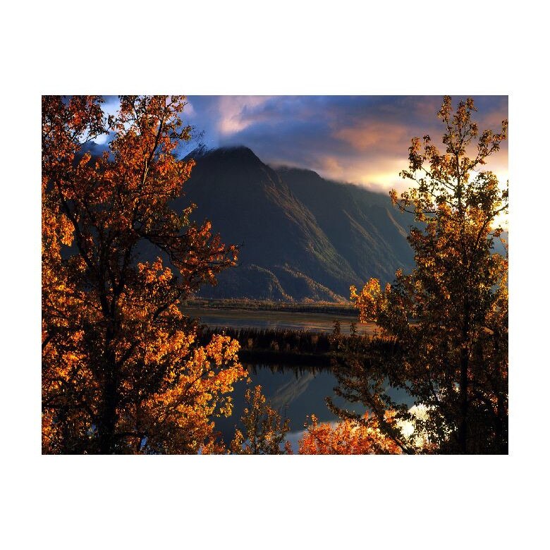 Tablou Canvas Natura, Dimensiunea 100x70 nat1402