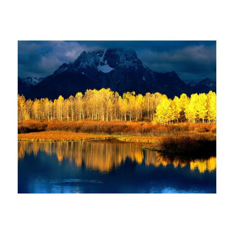 Tablou Canvas Natura, Dimensiunea 100x70 nat1419