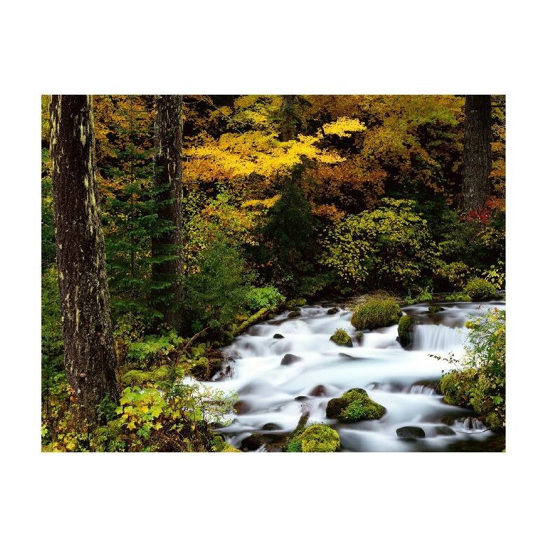Tablou Canvas Natura, Dimensiunea 100x70 nat1458