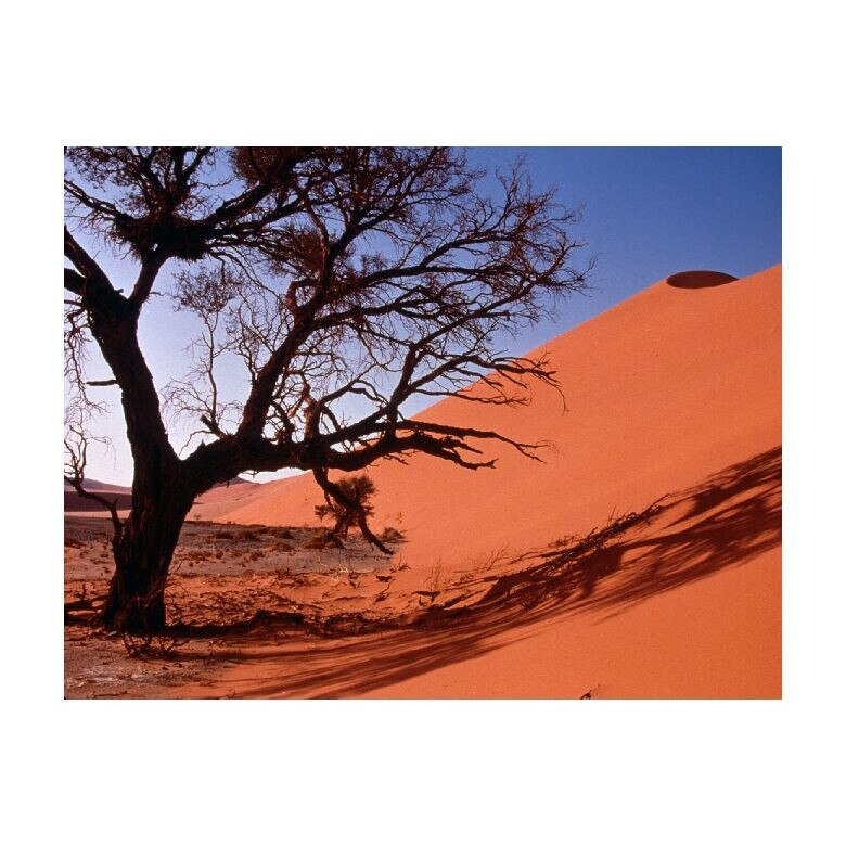 Tablou Canvas Natura, Dimensiunea 100x70 nat1488