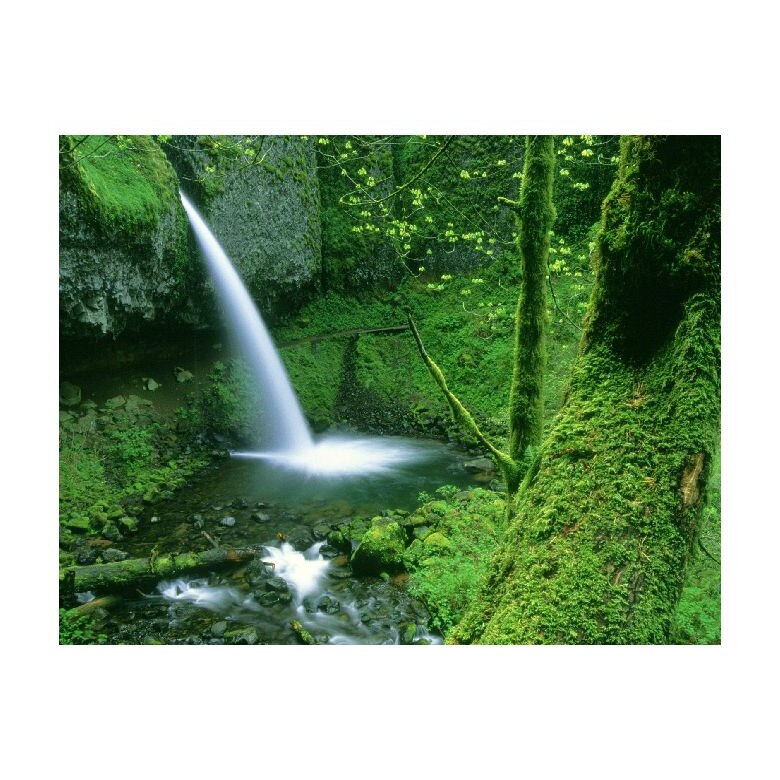 Tablou Canvas Natura, Dimensiunea 100x70 nat1406