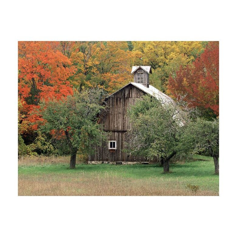 Tablou Canvas Natura, Dimensiunea 100x70 nat1480