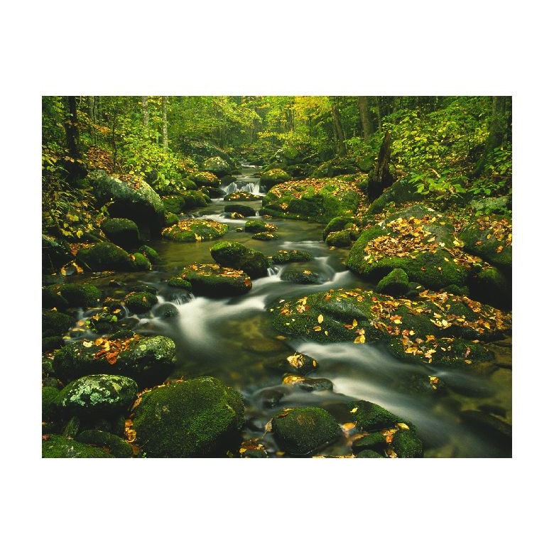 Tablou Canvas Natura, Dimensiunea 100x70 nat1457