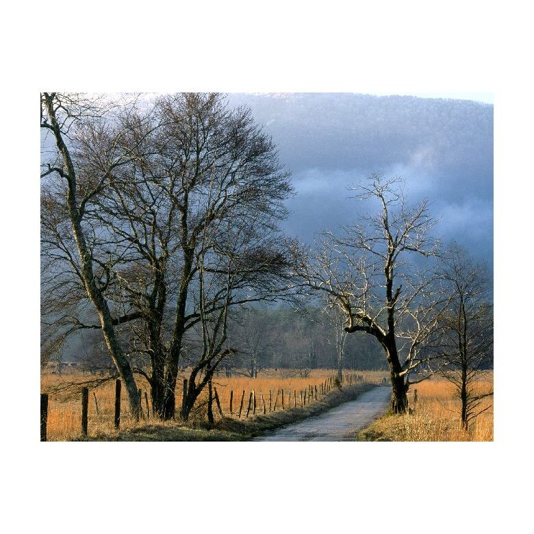 Tablou Canvas Natura, Dimensiunea 100x70 nat1567