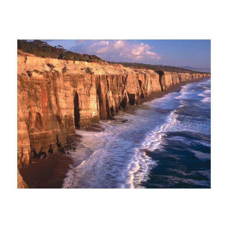 Tablou Canvas Natura, Dimensiunea 100x70 nat1566