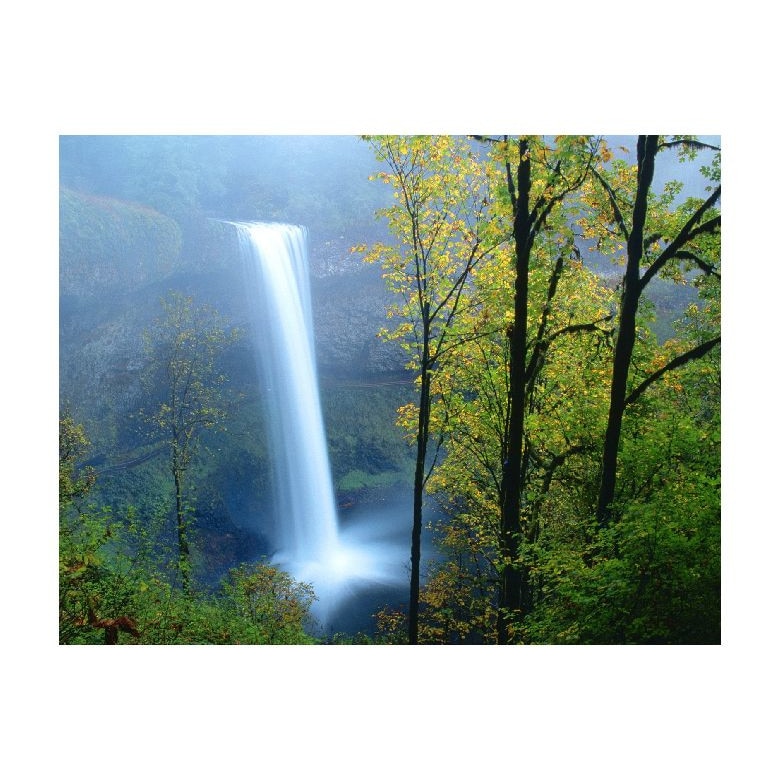 Tablou Canvas Natura, Dimensiunea 100x70 nat1563