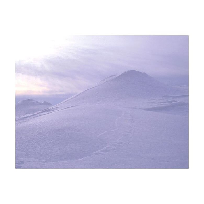 Tablou Canvas Natura, Dimensiunea 100x70 nat1612