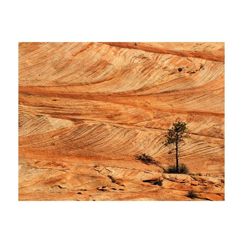 Tablou Canvas Natura, Dimensiunea 100x70 nat1535