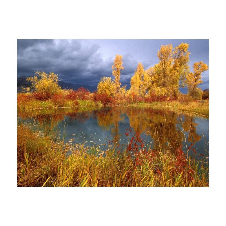 Tablou Canvas Natura, Dimensiunea 100x70 nat1592