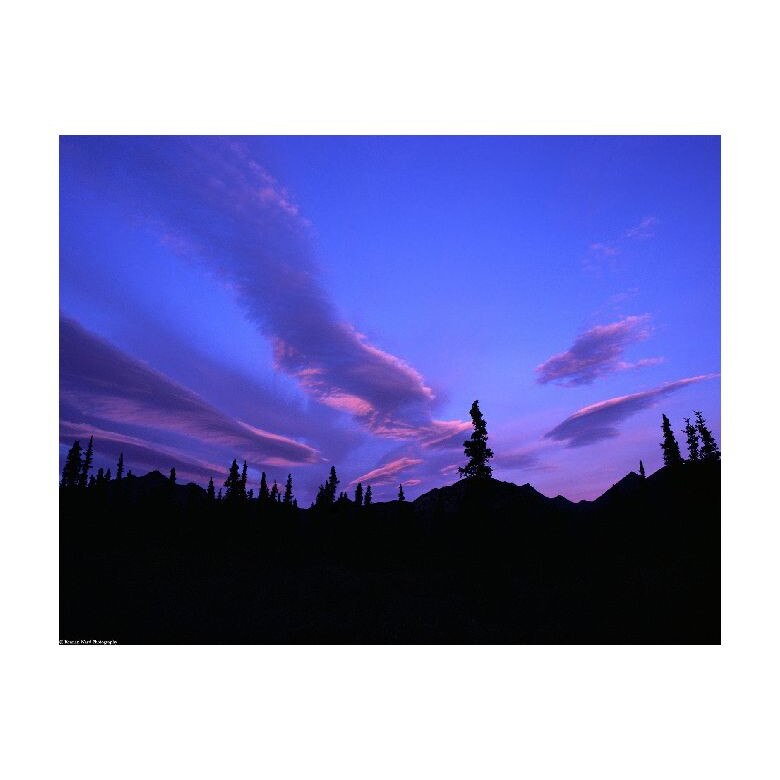 Tablou Canvas Natura, Dimensiunea 100x70 nat1640