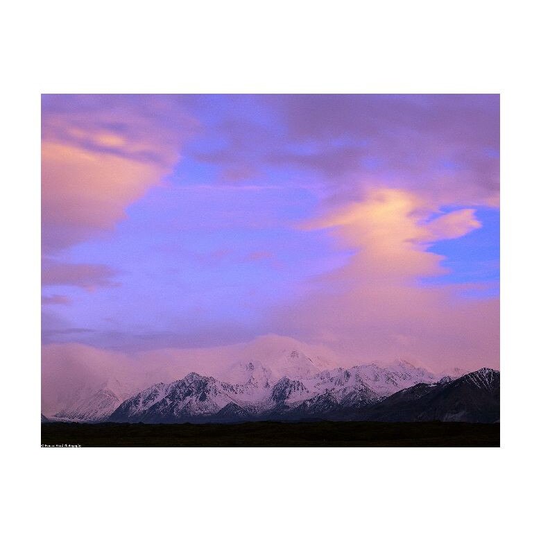 Tablou Canvas Natura, Dimensiunea 100x70 nat1531