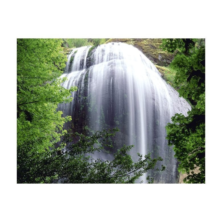 Tablou Canvas Natura, Dimensiunea 100x70 nat1533