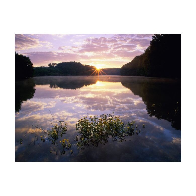 Tablou Canvas Natura, Dimensiunea 100x70 nat1630