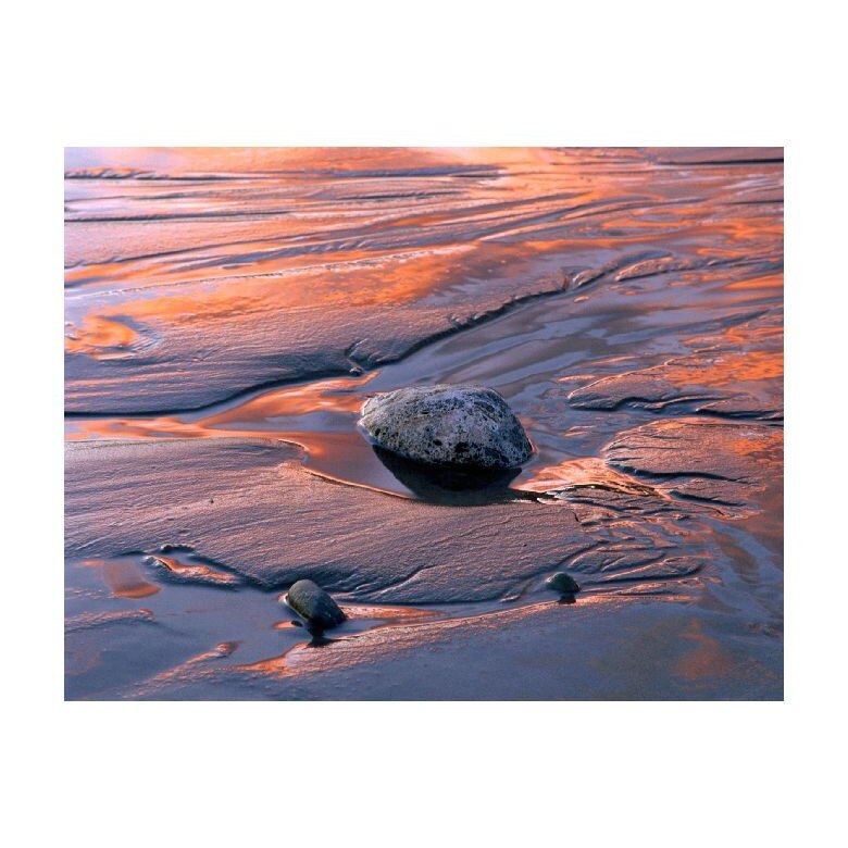 Tablou Canvas Natura, Dimensiunea 100x70 nat1524