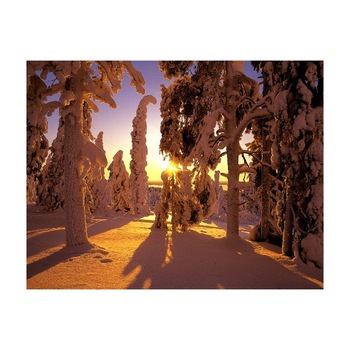 Tablou Canvas Natura, Dimensiunea 100x70 nat1546 Tablou Canvas Natura, Dimensiunea 100x70 nat1546