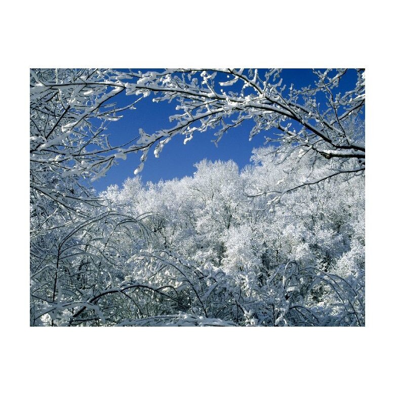 Tablou Canvas Natura, Dimensiunea 100x70 nat1553