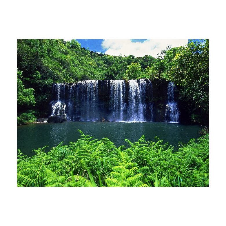 Tablou Canvas Natura, Dimensiunea 100x70 nat1514