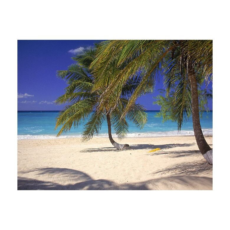 Tablou Canvas Natura, Dimensiunea 100x70 nat1521