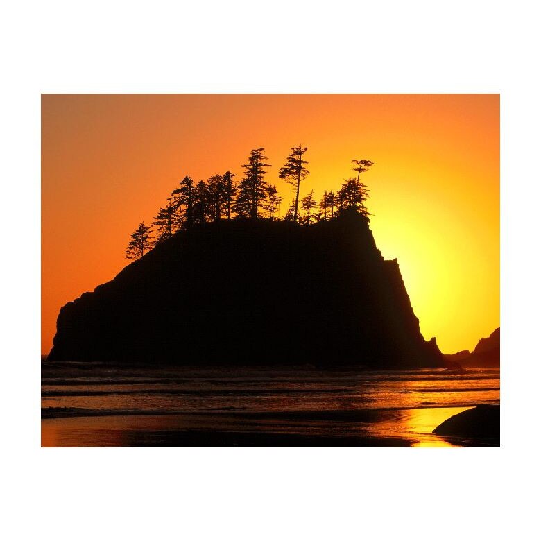 Tablou Canvas Natura, Dimensiunea 100x70 nat1513