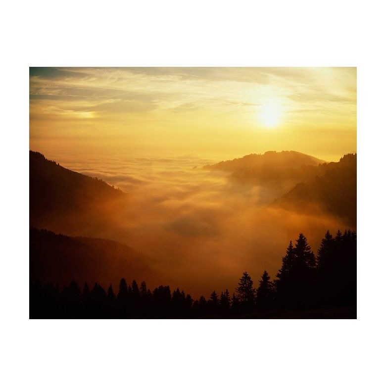 Tablou Canvas Natura, Dimensiunea 100x70 nat1584