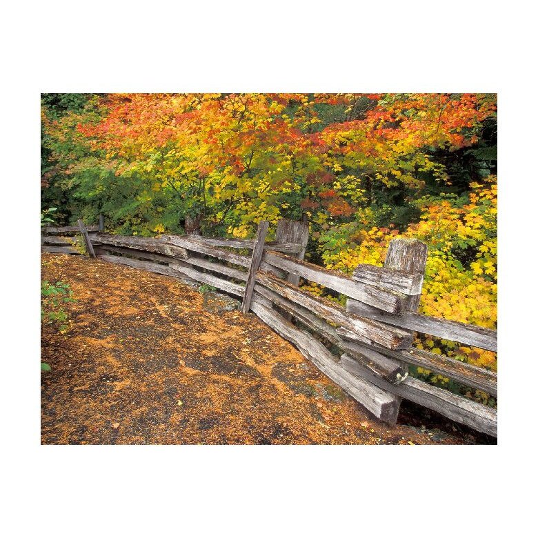 Tablou Canvas Natura, Dimensiunea 100x70 nat1575